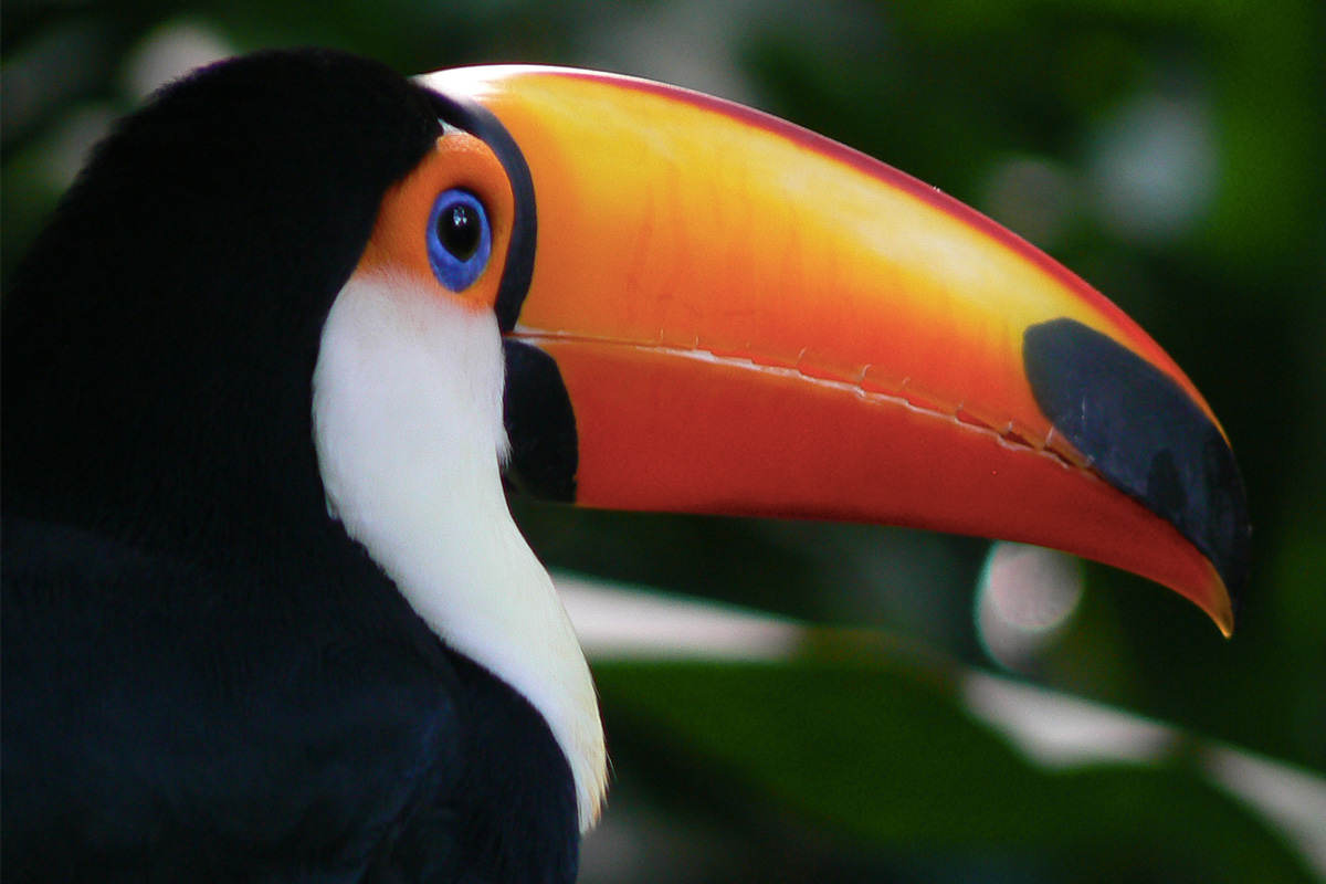 Now here’s something to Tweet about!